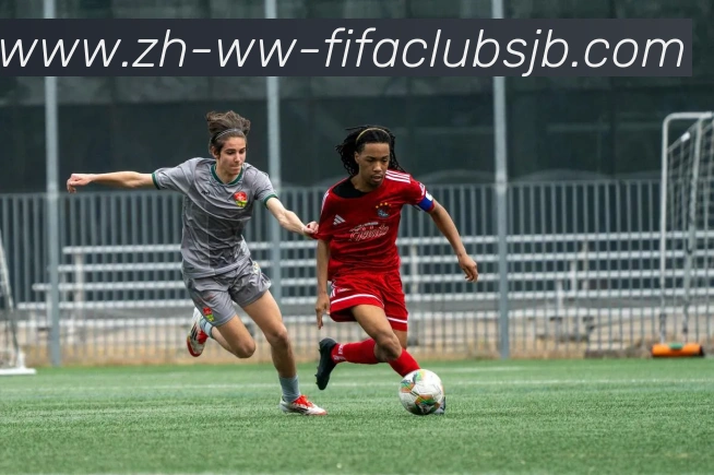 App Interface Preview